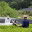 [JAS Organic Certified] 2026 Shincha Yabukita