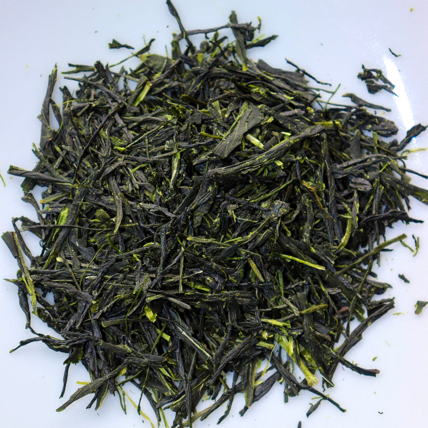 [JAS Organic Certified] 2026 Sencha Gokou