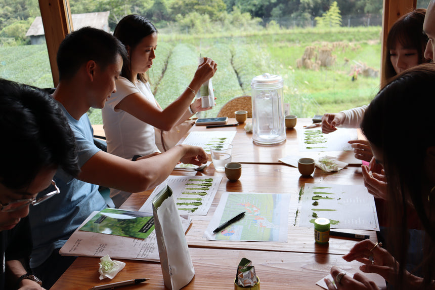 Matcha Tea Management Matcha Business Institute – d:matcha Kyoto