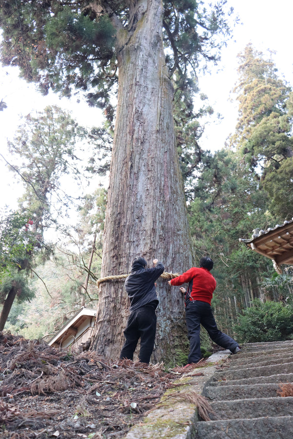 Hakusan Shrine Shimenawa