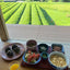 Tea farm Bed & Breakfast (farm-to-table breakfast and dinner included.)