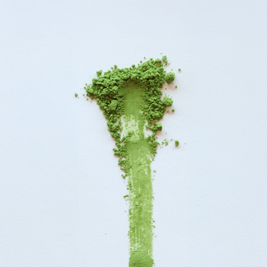 Spring Harvest Matcha - Asahi