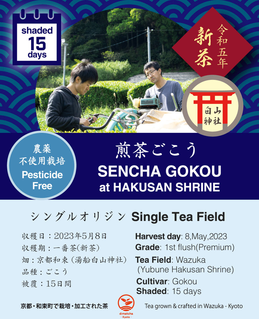 2023 Sencha First Flush: Gokou - Hakusan shrine