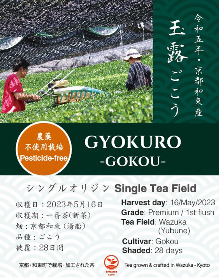 2023 First Flush: Organic Gyokuro (cultivar Gokou)