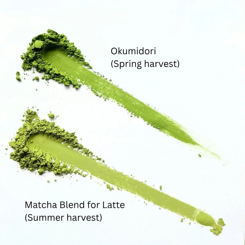 [JAS Organic] Spring Harvest Matcha - Okumidori (1kg)
