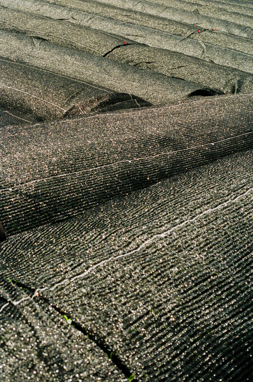 Shading Japanese Tea