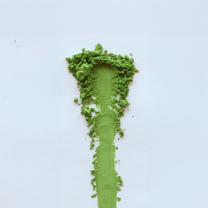 [Rare] Spring Harvest Matcha - Kyoken 283