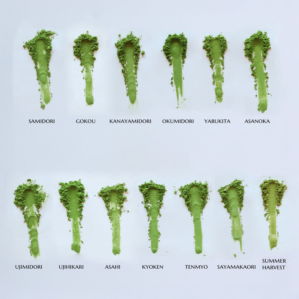 Matcha Color Guide Ultimate Spring Harvest Matcha Sampler (12 bags) – d:matcha Kyoto