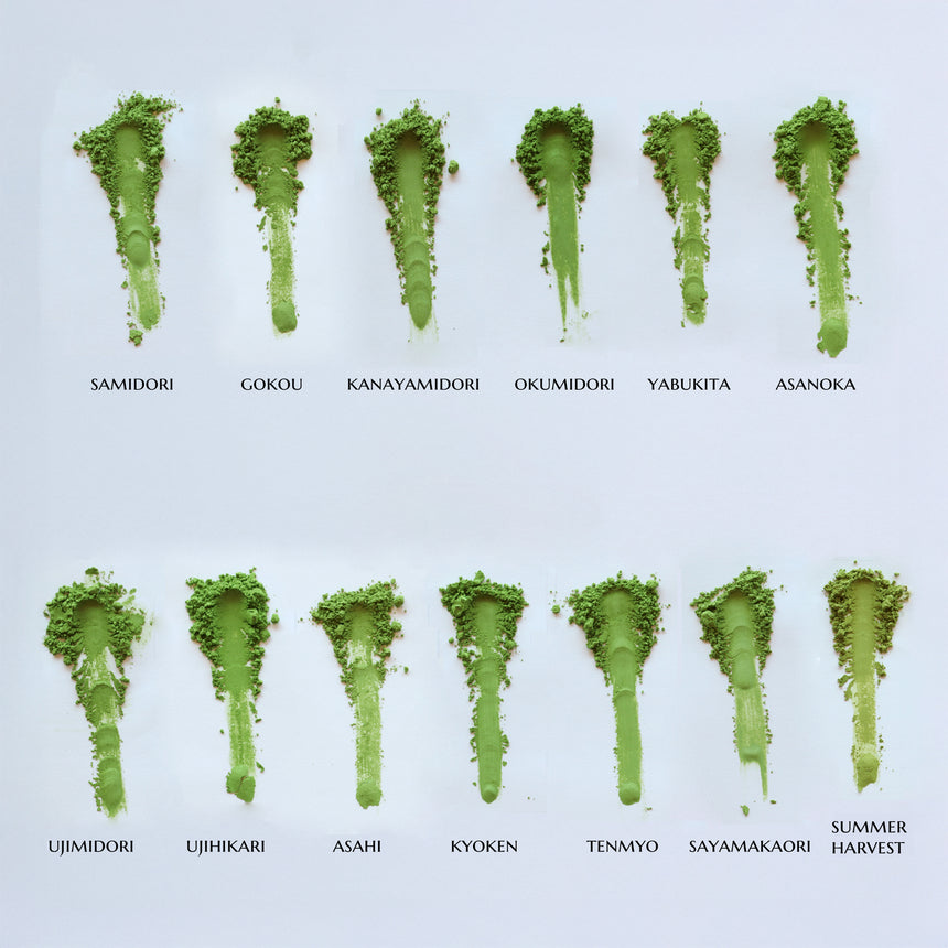 Ultimate Spring Harvest Matcha Sampler (12 bags)