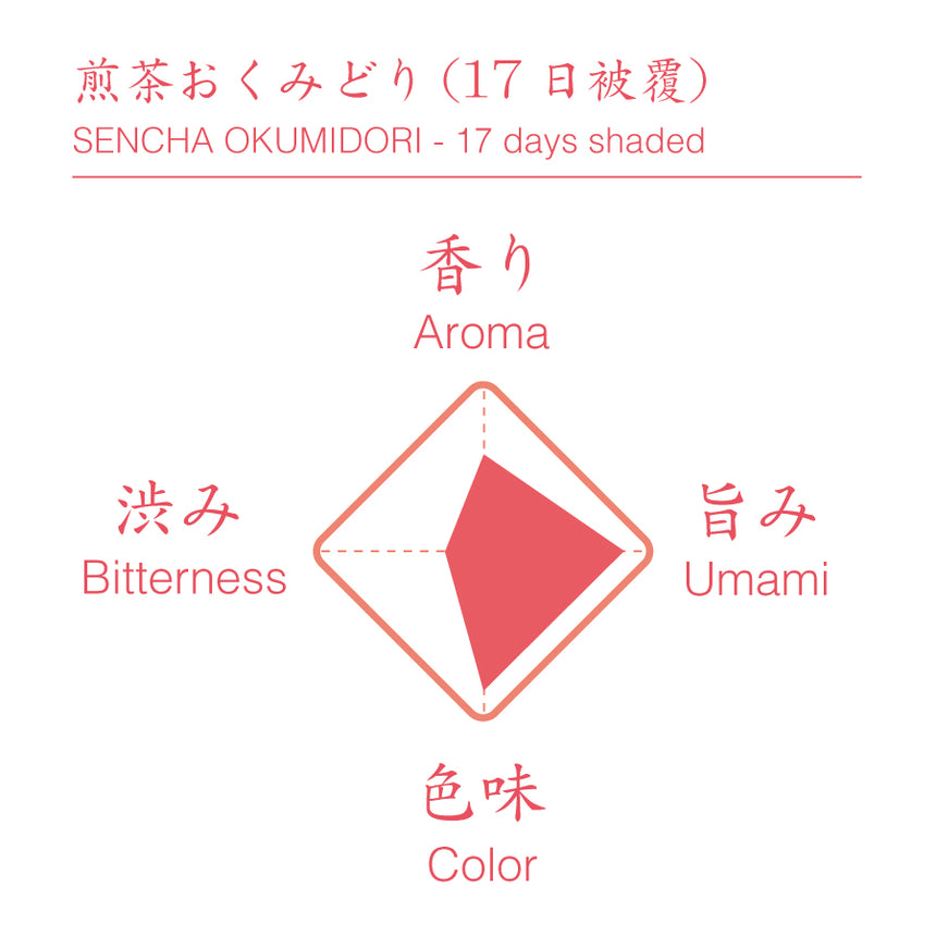 2023 Sencha First Flush: Okumidori - 17 days shaded