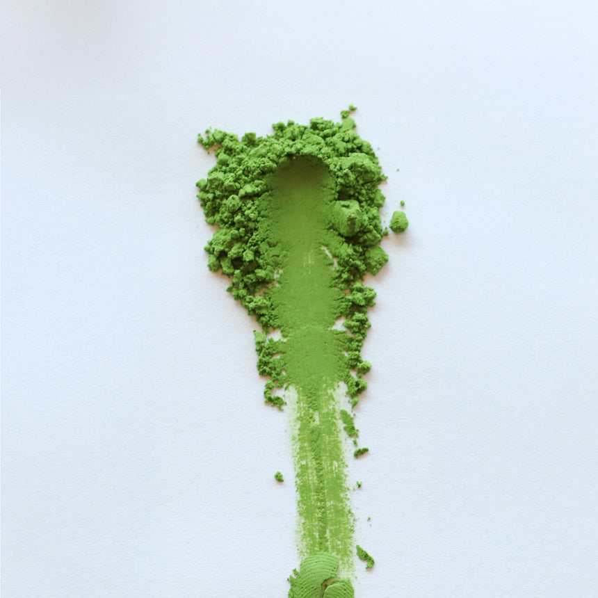 Spring Harvest Matcha - Uji-hikari