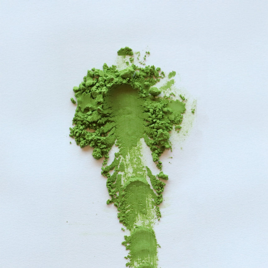 Spring Harvest Matcha - Ujimidori