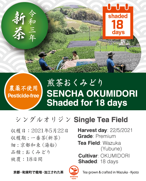 2021 Sencha First Flush: Okumidori - 18 days shaded