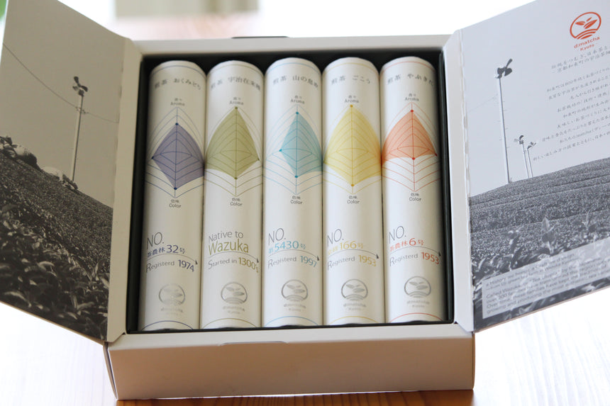 Sencha Tasting Gift Set