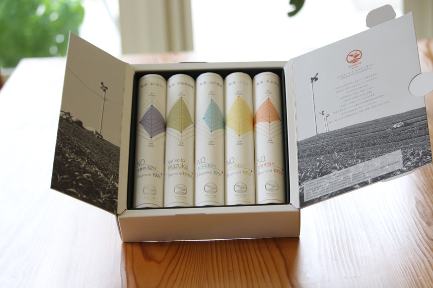 Sencha Tasting Gift Set