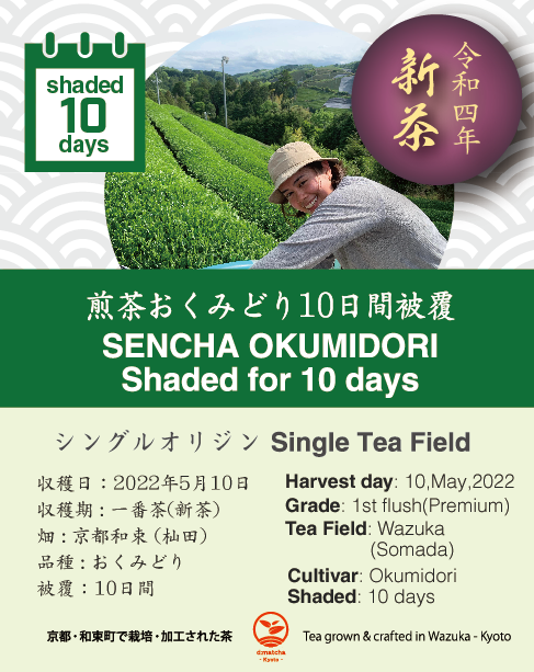 2022 Sencha First Flush: Okumidori - Somada