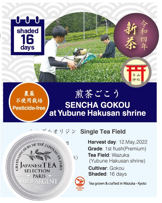 2022 Sencha First Flush: Gokou