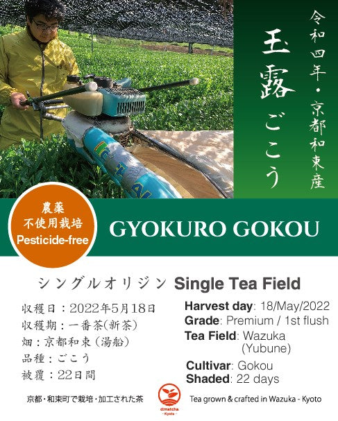 2022 First Flush: Organic Gyokuro (cultivar Gokou)